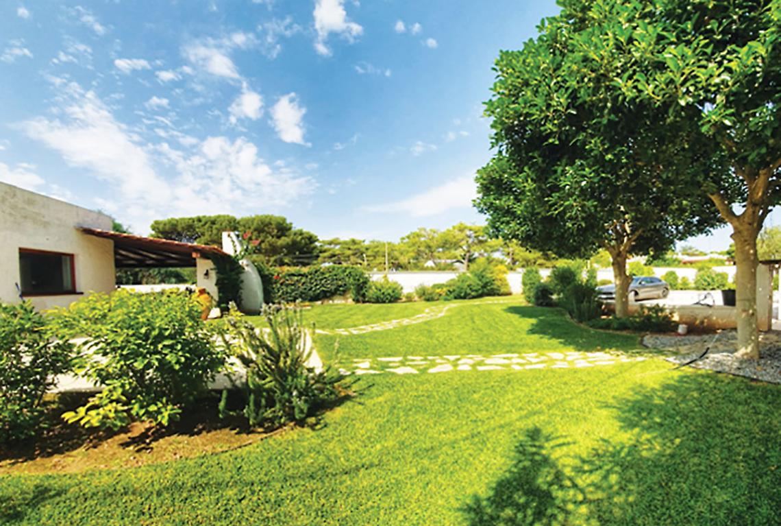 Un giardino