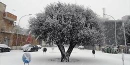 Allerta meteo, un gelido Natale in Puglia 