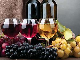 Vino e olio pugliese minacciato dai dazi americani sul made in Italy