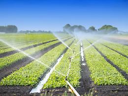 «Agricoltori del Versante Occidentale, drastico abbassamento del livello dell'acqua a disposizione per i campi»