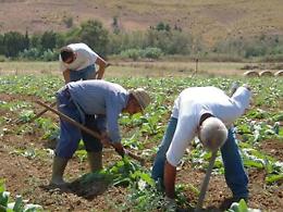 "Con il nuovo decreto flussi più lavoratori stagionali in agricoltura e meno spazio al caporalato"