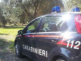 Furti nei campi e controlli sul lavoro, l’allarme di Confagricoltura Bari-Bat