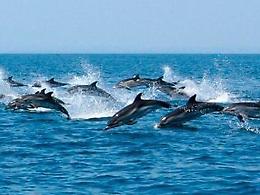 Capitale Italiana della Cultura, le chiavi per vincere la sfida