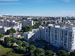 Controlli nei circoli privati, sanzioni da 90mila euro e sequestri nei quartieri Paolo VI e Tamburi