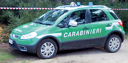 Rifiuti pericolosi smaltiti illegalmente, denunciato il titolare di una officina