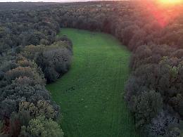 A “Estensioni” le più significative realtà ambientali