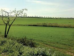 Campo Amunì di Libera: ragazzi in viaggio tra legalità e riscatto