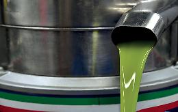 Assalto armato sulla statale: sequestrato camionista e svuotato un carico di olio d'oliva