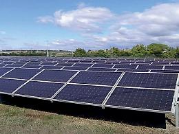 Eolico e fotovoltaico nel cuore del Primitivo: Di Cuia chiede più tutele per il territorio