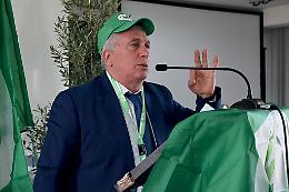 La Cia Puglia: «Il mese di aprile è cruciale per contrastare la Xylella fastidiosa»