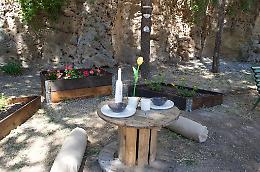 Fiori abusivi, il Sindaco d'Alò: «Ecco le vere ragioni della multa»