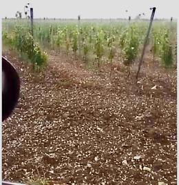 Oltre 15 tempeste tra bufere di vento, grandinate e temporali nel solo mese di maggio in Puglia