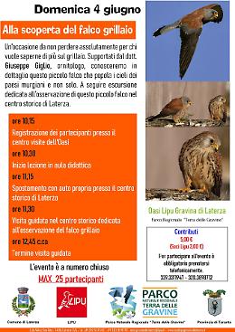 Nel Parco naturale regionale “Terra delle Gravine” alla scoperta del Falco Grillaio
