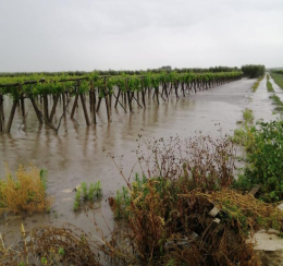 Dalla siccità alle alluvioni, l'allarme in Puglia: già 145 eventi estremi