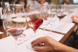 Due Mari WineFest: il vino tra arte, musica e cultura 
