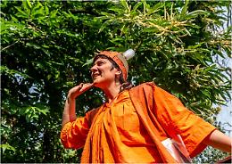 "Humana foresta": quando il teatro indaga la natura