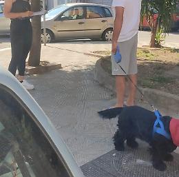 La Polizia Locale a caccia degli “sporcaccioni”: multe per rifiuti e deiezioni canine