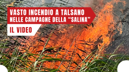 Vasto incendio nelle campagne di Talsano, in zona "Salina Grande"