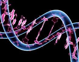 &laquo;Puglia pioniera della carta d'identit&agrave; genetica: cos&igrave; sconfiggeremo le malattie rare&raquo;