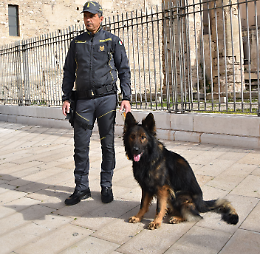 Controlli anti-droga con il fiuto di "Basco", beccate 20 persone