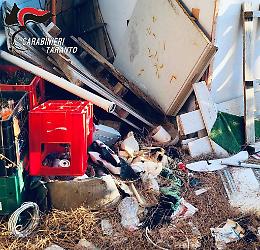 Gravi carenze igienico-sanitarie, i Nas chiudono un ristorante. Le foto