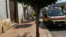 Un pitbull libero aggredisce una signora ed un bassotto in via Dante. Il video