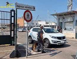 Contrasto traffici illeciti: sequestrate sostanze stupefacenti