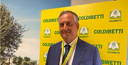 «L’agroalimentare e il turismo al centro delle politiche economiche e di sviluppo della provincia di Taranto»