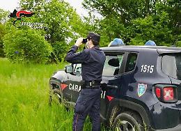 Oltre  3mila e 600 chili di prodotti fitosanitari scaduti, sanzioni e sequestri dei carabinieri