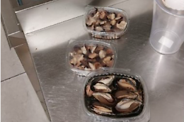 Apre le cozze per strada e le porta in un ristorante: denunciato insieme al titolare