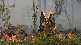 Incendi boschivi, Crispiano si aggiudica 100mila euro