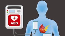 Rubati due defibrillatori a Palese: i Carabinieri li recuperano in casa del ladro