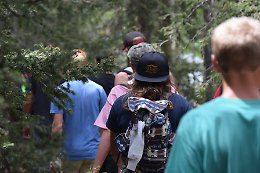 Giornata nazionale degli alberi, evento con le scuole tarantine