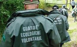 Spara a un cucciolo e lo getta in un canale