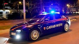 Tenta di rubare un quintale di olive in un uliveto, ma viene scoperto e arrestato