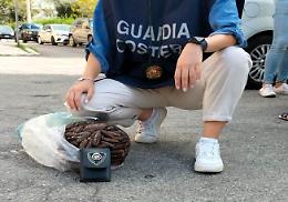 Pesca proibita, scattano gli arresti