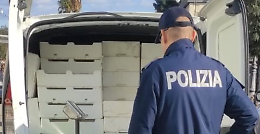 Sequestrati oltre 30 kg di "faloppa"