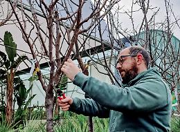 La potatura invernale delle piante da giardino