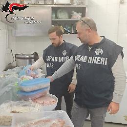Troppa sporcizia, chiusa una kebabberia. I controlli dei Carabinieri del Nas