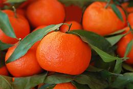 Le Clementine del Golfo di Taranto sbarcano a Berlino