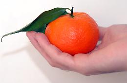 Clementine del Golfo di Taranto, conferenza di presentazione