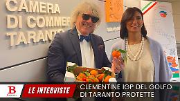 Le clementine IGP hanno il loro Consorzio di Tutela