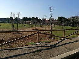 Progetto "Green Passage", 236 nuovi alberi per la città