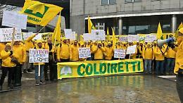 Agricoltori pugliesi in piazza a Bruxelles contro le follie dell'Unione europea. Le foto