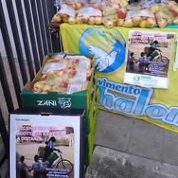 Ecco le Mele della Pace