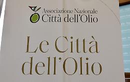 Bari pronta ad aderire alla rete delle Città dell’Olio: valorizzazione dell’oro verde e identità territoriale