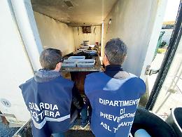 Sequestrati 200 chili di cozze, 350 ricci di mare e 25 chili di novellame