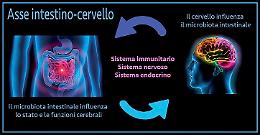 Tutte le malattie iniziano dall’intestino