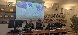 Sequestrati denaro, immobili e un compendio aziendale per 355 milioni di euro: 4 arresti. C'è anche un tarantino. I nomi