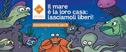 Al via "Il mare è la loro casa"